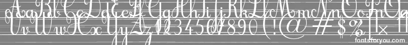 フォントCursifl – 灰色の背景に白い文字