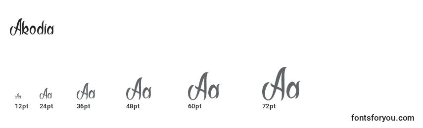 Размеры шрифта Akodia