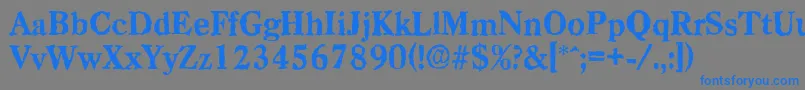 CasadrandomXboldRegular Font – Blue Fonts on Gray Background