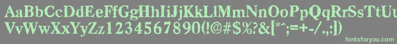 CasadrandomXboldRegular Font – Green Fonts on Gray Background