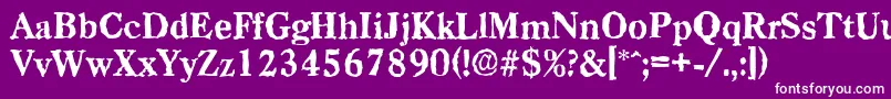CasadrandomXboldRegular Font – White Fonts on Purple Background