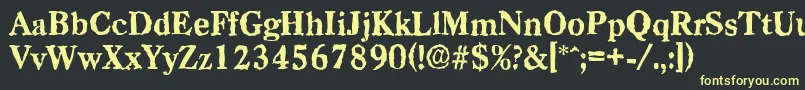 CasadrandomXboldRegular Font – Yellow Fonts on Black Background