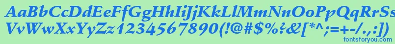 StempelschneidlerstdBlkit Font – Blue Fonts on Green Background