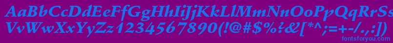 StempelschneidlerstdBlkit Font – Blue Fonts on Purple Background