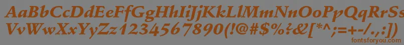StempelschneidlerstdBlkit Font – Brown Fonts on Gray Background