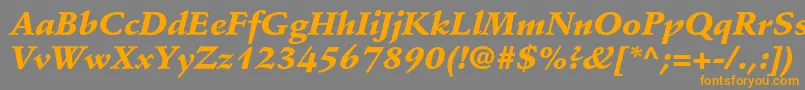 StempelschneidlerstdBlkit Font – Orange Fonts on Gray Background