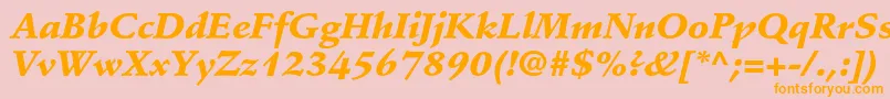 StempelschneidlerstdBlkit Font – Orange Fonts on Pink Background