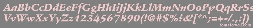 StempelschneidlerstdBlkit Font – Pink Fonts on Gray Background