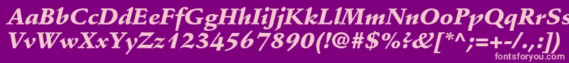 StempelschneidlerstdBlkit Font – Pink Fonts on Purple Background