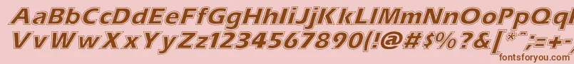 ErascontourItalic Font – Brown Fonts on Pink Background