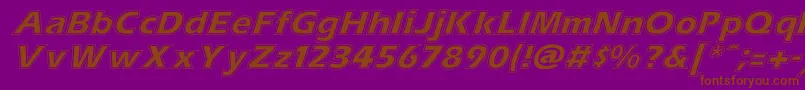 Czcionka ErascontourItalic – brązowe czcionki na fioletowym tle