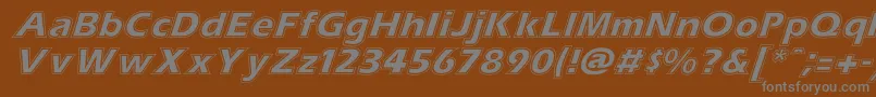 ErascontourItalic-fontti – harmaat kirjasimet ruskealla taustalla