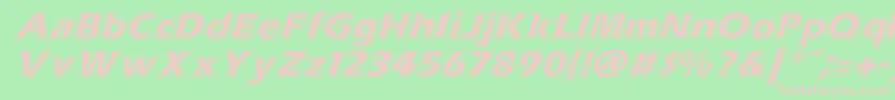 ErascontourItalic Font – Pink Fonts on Green Background