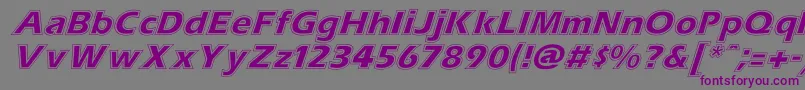 Fonte ErascontourItalic – fontes roxas em um fundo cinza