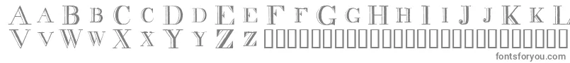 フォントDecnodi – 灰色のフォント