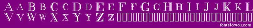 Decnodi Font – White Fonts on Purple Background