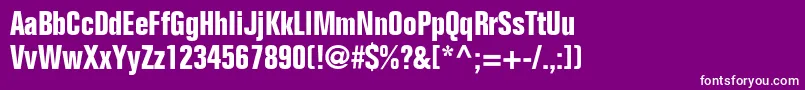 FolioBoldCondensed Font – White Fonts on Purple Background