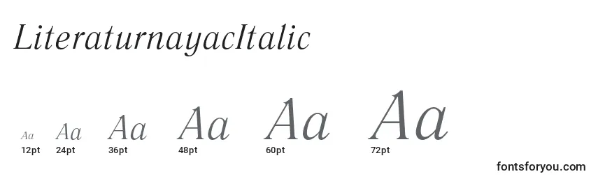Размеры шрифта LiteraturnayacItalic