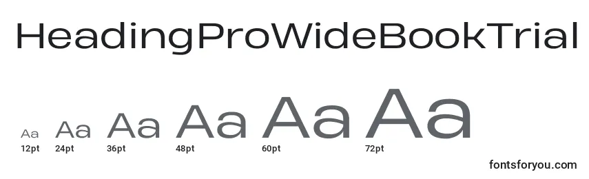 HeadingProWideBookTrial Font Sizes