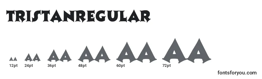 Размеры шрифта TristanRegular
