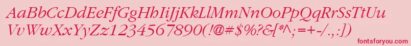 ClassicRussianItalic.001.001 Font – Red Fonts on Pink Background