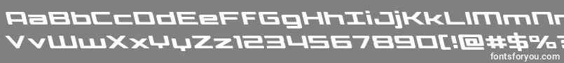 Phoenicialowercaseleft Font – White Fonts on Gray Background