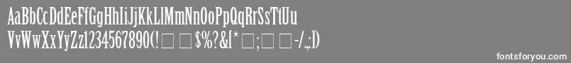 SentinalSsi Font – White Fonts on Gray Background