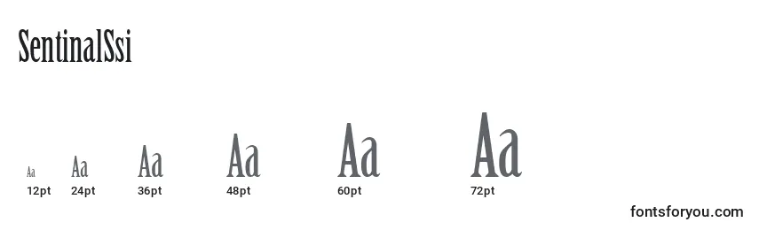 SentinalSsi Font Sizes