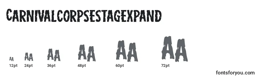 Carnivalcorpsestagexpand Font Sizes