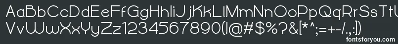 フォントAlightyNesiaBold – 白い文字