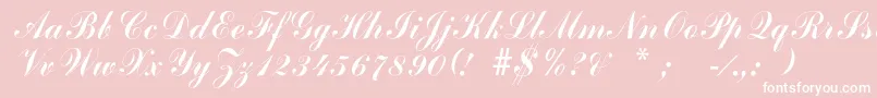 Шрифт Arenski – белые шрифты на розовом фоне