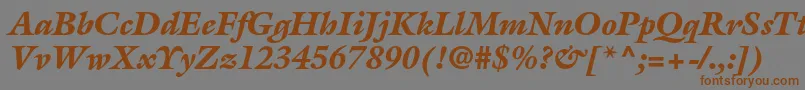 Шрифт GalliardstdBlackitalic – коричневые шрифты на сером фоне