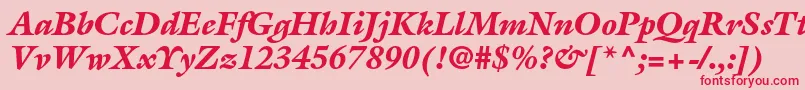 GalliardstdBlackitalic Font – Red Fonts on Pink Background
