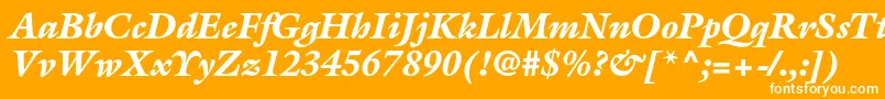 Шрифт GalliardstdBlackitalic – белые шрифты на оранжевом фоне