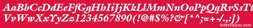 フォントGalliardstdBlackitalic – 赤い背景に白い文字