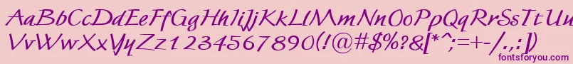 FortunaBold Font – Purple Fonts on Pink Background