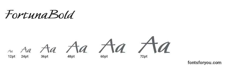 FortunaBold Font Sizes