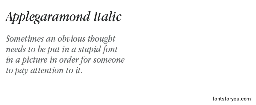 Review of the Applegaramond Italic Font