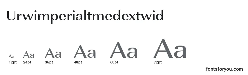 Размеры шрифта Urwimperialtmedextwid