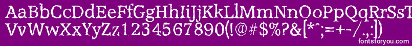 AccoladerandomRegular Font – White Fonts on Purple Background