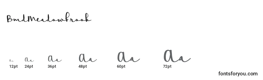 Größen der Schriftart BmdMeadowbrook