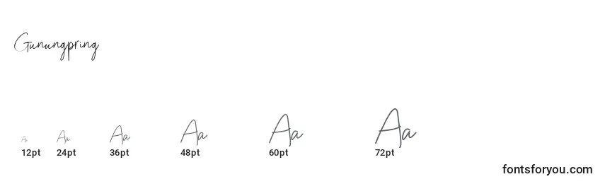 Размеры шрифта Gunungpring