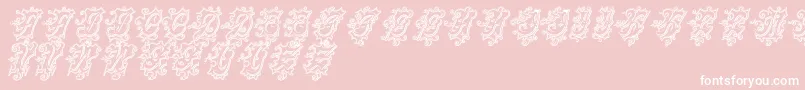 CentennialscriptfancyThree Font – White Fonts on Pink Background