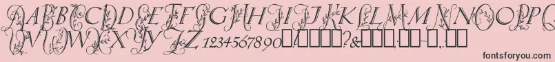 SpringtimeCapitals Font – Black Fonts on Pink Background