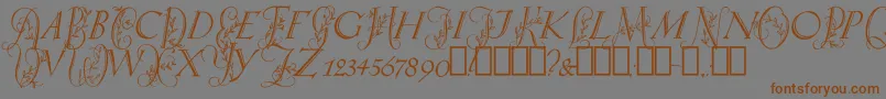 SpringtimeCapitals Font – Brown Fonts on Gray Background