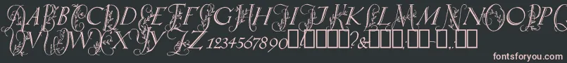 SpringtimeCapitals Font – Pink Fonts on Black Background