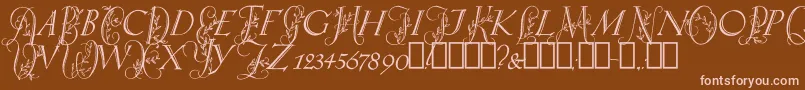 フォントSpringtimeCapitals – 茶色の背景にピンクのフォント
