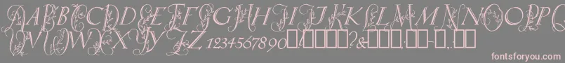 SpringtimeCapitals Font – Pink Fonts on Gray Background