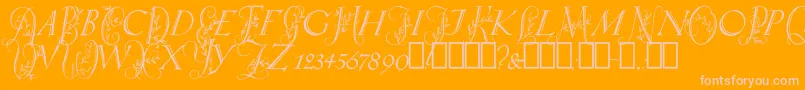 SpringtimeCapitals Font – Pink Fonts on Orange Background