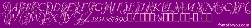 SpringtimeCapitals Font – Pink Fonts on Purple Background